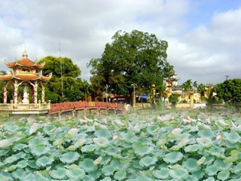 Exploring Hai Hau district, Nam Dinh province - ảnh 2